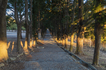 Filerimos Cross pilgrimage site and garden with landscape view. Rhohos Island in Greece