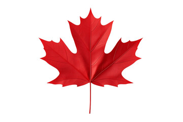 Naklejka premium Red maple leaf is shown on a white background