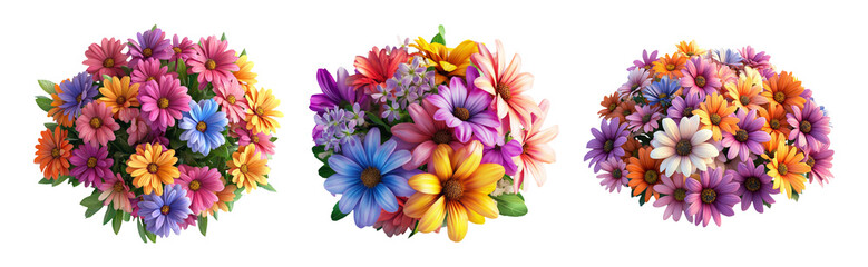 Colorful Floral Collection Isolated on Transparent Background