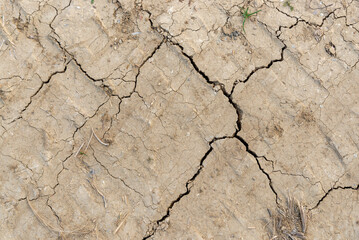 Trozo de tierra seca por ausencia de agua por la sequía con grietas.