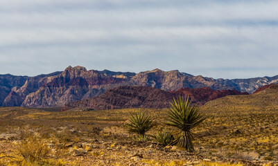 Red Rock Canyon National Conservation Area near Las Vegas, Nevada