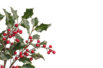 a sprig of holly with red berries against a transparent background PNG image, PNG file, Generative art.