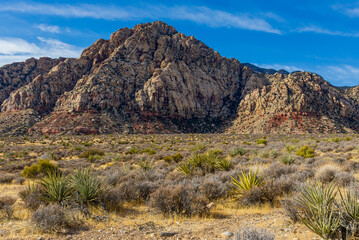 Red Rock Canyon National Conservation Area near Las Vegas, Nevada