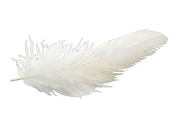 a white feather on a transparent background PNG image, PNG file, Generative art.