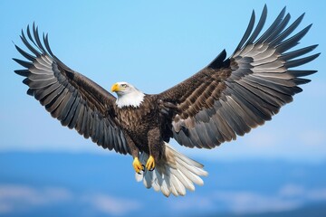 Obraz premium Majestic Eagle Soaring in Blue Sky: Powerful Wings and Sharp Eyes