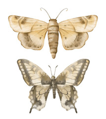 Naklejka premium Set of delicate cute yellow beige brown butterflies. Hand drawn watercolor illustration on isolated white background. For decoration, design of romantic, children's and women's textiles