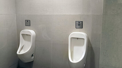 Urinal Bowl With Automatic Flush