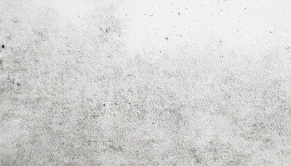 Fototapeta premium Abstract grayscale texture with subtle speckles and variations in tone.
