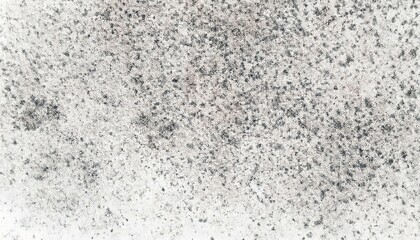 Obraz premium Abstract black and white speckled texture.