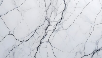 Elegant White Marble Texture with Intricate Veins