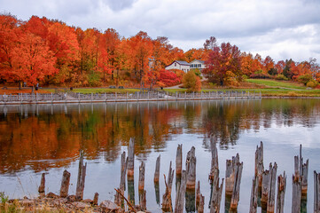 autumn trees reflected in water