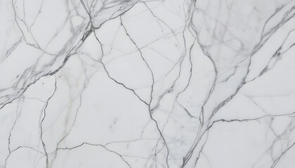 Elegant White Marble Texture with Intricate Veins