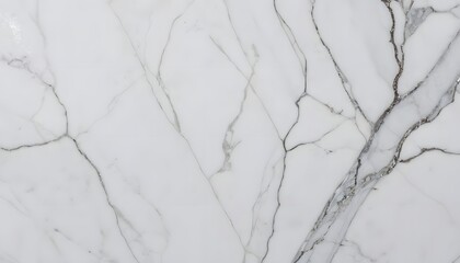 Elegant White Marble Texture with Intricate Veins