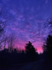 Fototapeta premium Dramatic twilight sky with vibrant purple and pink hues, silhouetted tree branches framing a serene dirt path