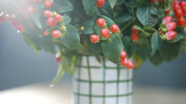 A vase of red berries sits on a table. The berries are in a green and white patterned vase