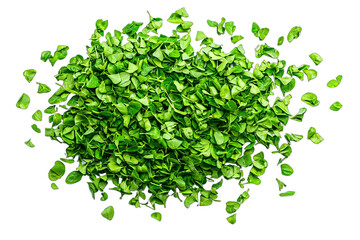 a green plant on a transparent background PNG image, PNG file, Generative art.