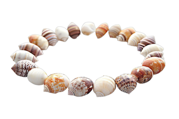 a necklace made up of many different shells on a transparent background PNG image, PNG file, Generative art.