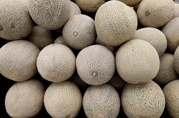 Cantaloupe at a fruit market