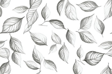 The image is a black and white drawing of multiple leaf shapes scattered across a white background