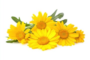 Naklejka premium Yellow flowers bouquet on white