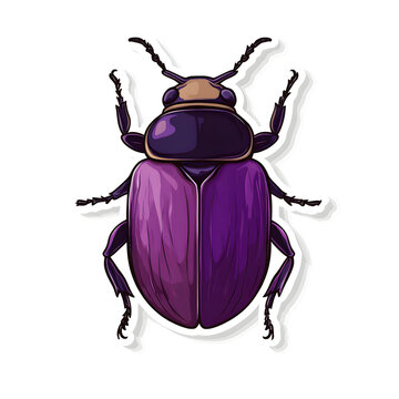 Purple June Beetle Sticker Vector Art on White Background