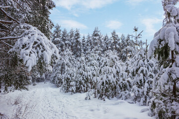 January, heavy snowfall occurred at night