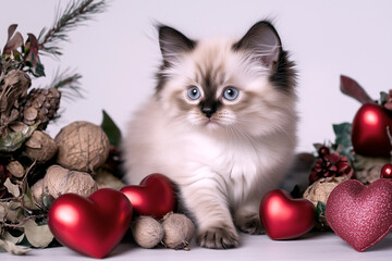 A playful fluffy kitten poses with tiny red hearts, creating a picture perfect Valentine&rsquo;s Day moment filled with charm.