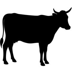 silhouette of a cow