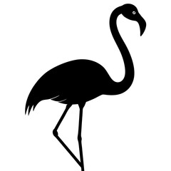 flamingo silhouette isolated on white