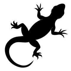 silhouette of a lizard