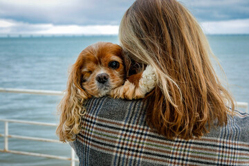 Lisbon, Portugal. Pet owner with blind King Charles dog.