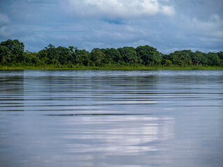 Amazon river landscape with rainforest.