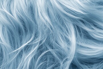 Fototapeta premium Close up of a soft blue fluffy pet fur with paw.