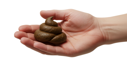 Hand & Fingers holding a piece of poop, turd fecal matter, gross feces, isolate transparent png