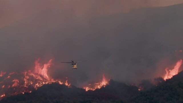 Aerial firefighting efforts are currently underway in Los Angeles as numerous wildfires rage through mountainous areas, posing significant threats to both homes and local wildlife in the region