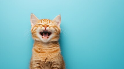 Obraz premium Joyful Cat Portrait: Laughter Against Blue, 青い背景に映える笑顔の猫のポートレート.Generative AI