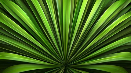 Obraz premium Close-up view of vibrant green palm leaves radiating in a circular pattern