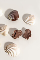 Chocolate shells and seashells on white background. Cut candy with filling