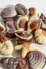 Unusual chocolates in the form of seafood. The bitten candy. Chocolate shells. Vertical