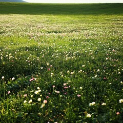 Wildflowers bloom in a grassy field landscape