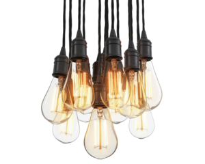 Isolated Group of Vintage Light Bulbs