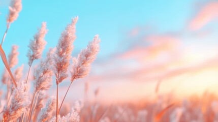 A serene scene of delicate wildflowers set against a vibrant sky, blending soft pastel hues with a tranquil atmosphere.