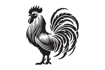 Rooster drawing silhouette