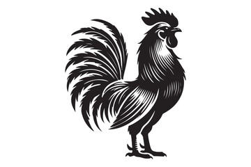 Rooster drawing silhouette
