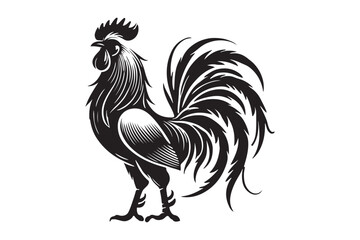 Rooster drawing silhouette