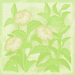 Soft pastel green floral illustration with delicate cream blossoms and textured background. Gentle botanical design perfect for invitations and décor.