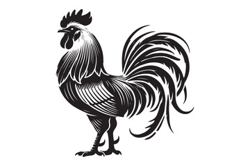 Rooster drawing silhouette