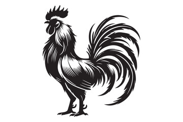 Rooster drawing silhouette