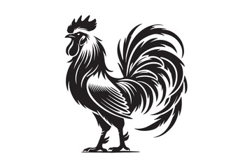 Rooster drawing silhouette