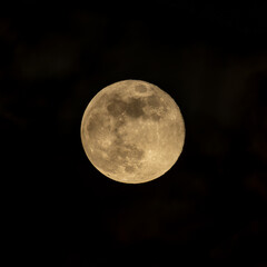 Obraz premium Looking up at a full moon